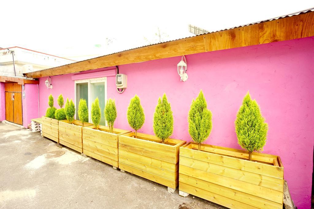 Little Haenyeo Villa Jeju Exterior foto