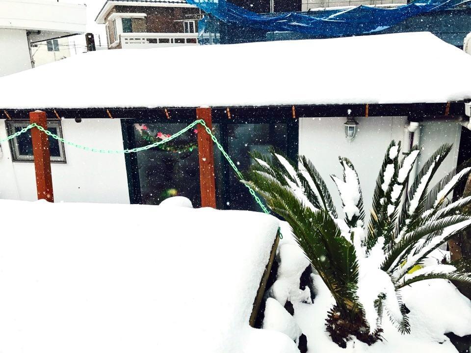Little Haenyeo Villa Jeju Exterior foto